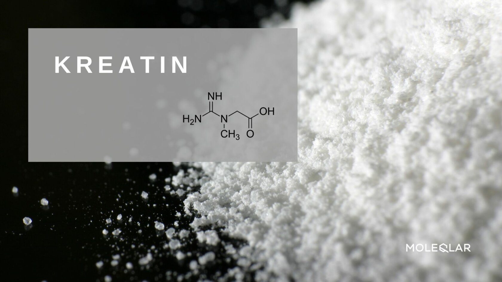 Kreatin Monohydrat Creatine Moleqlar Supplement Pulver