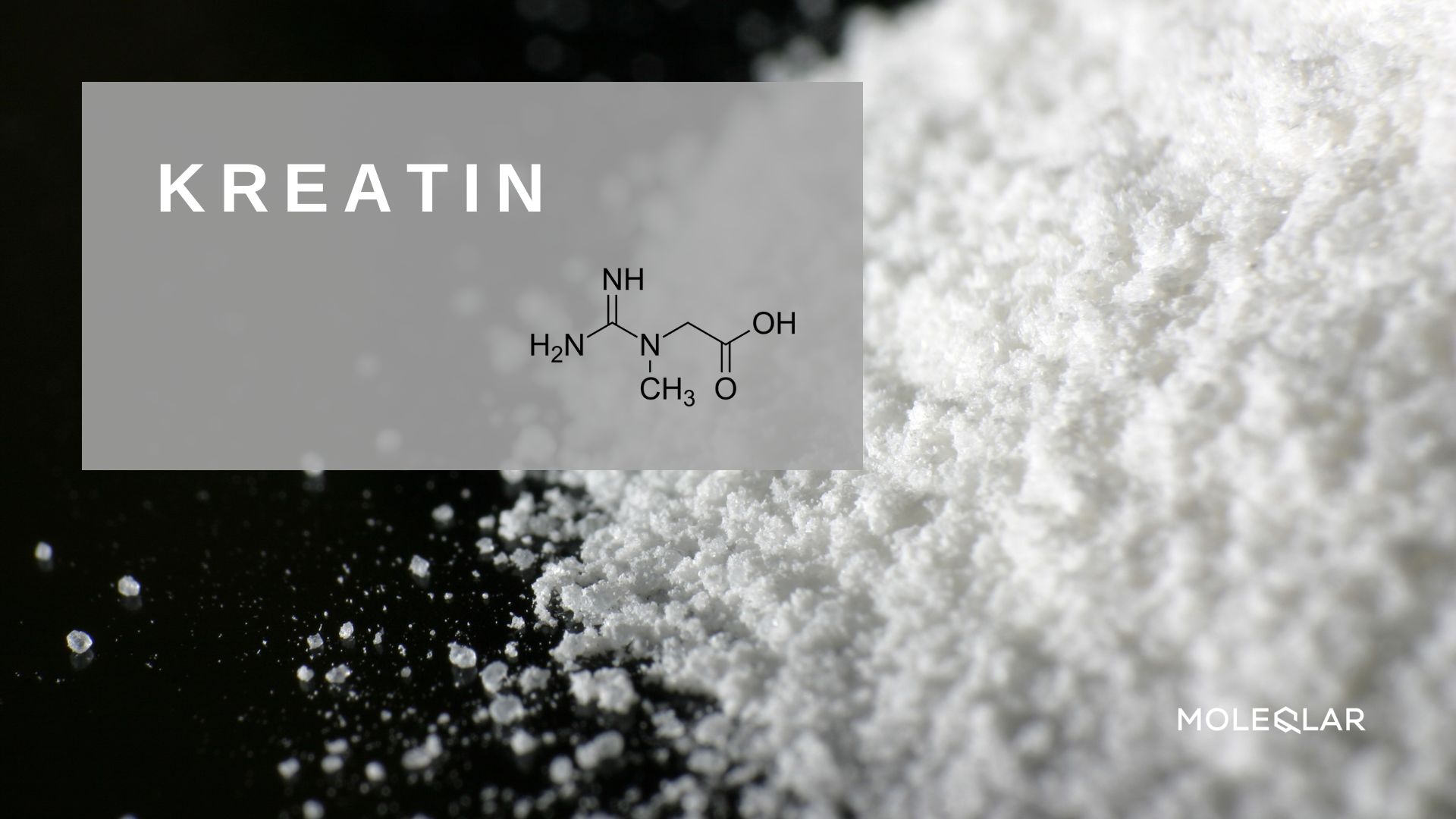 Kreatin Monohydrat Creatine Moleqlar Supplement Pulver