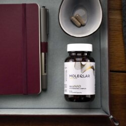 Regenad Nad Regeneration Moleqlar 1