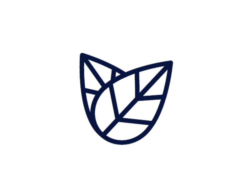 100% Vegan & Organic