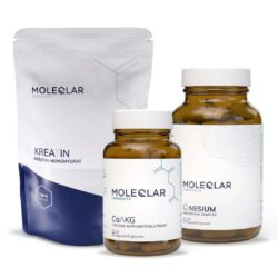 Performance Plus Bundle Kreatin Caakg Qnesium