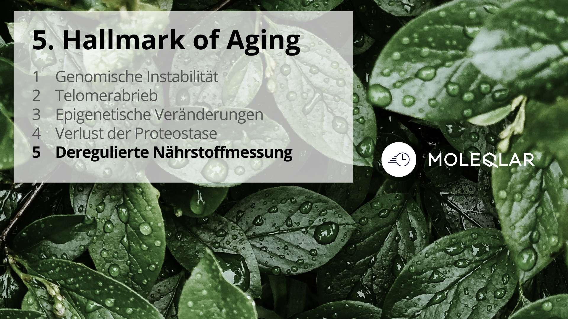 5 Hallmarks Of Aging Deregulierte Nährstoffmessung