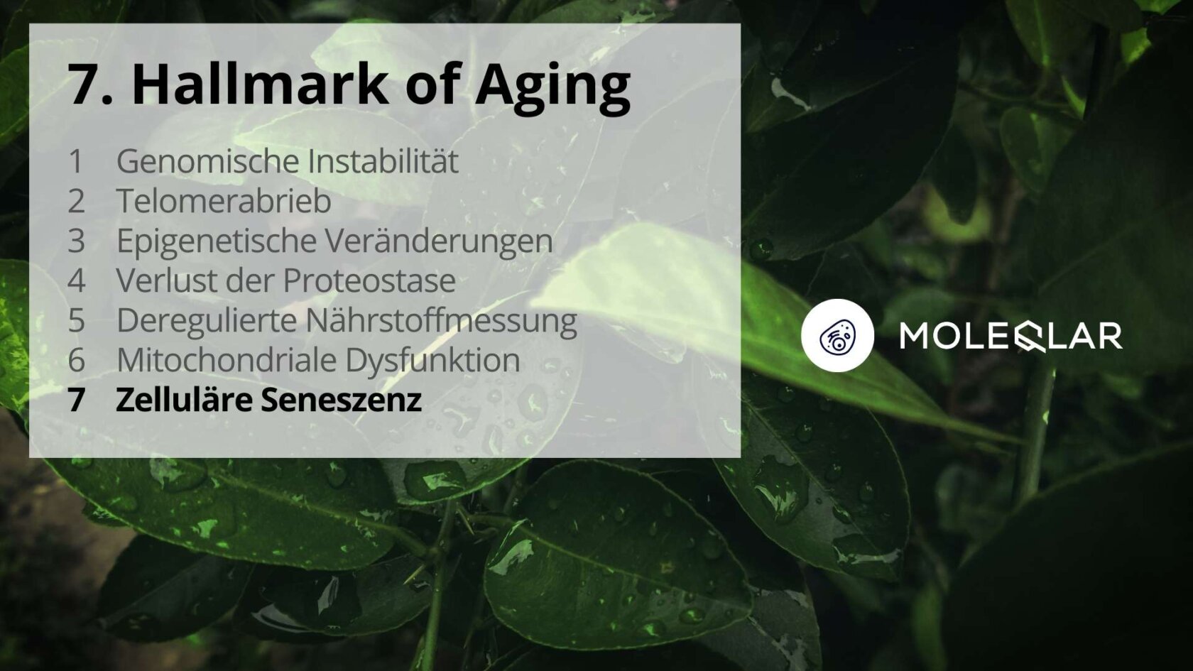 7 Hallmarks Of Aging Zelluläre Seneszenz