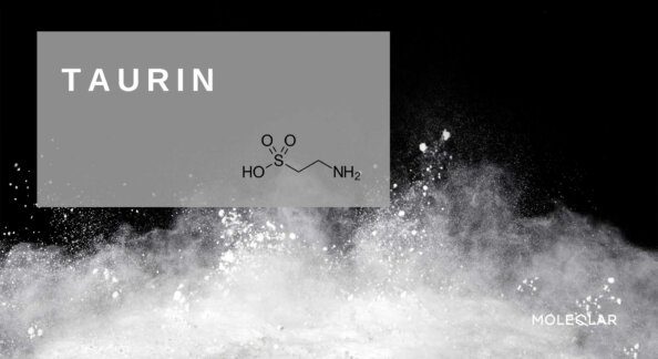 Was Ist Taurin Supplement