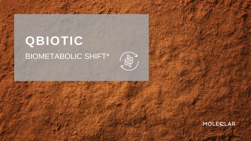 Qbiotic Biometabolic Shift
